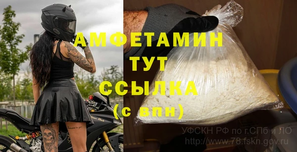ALPHA PVP Рославль