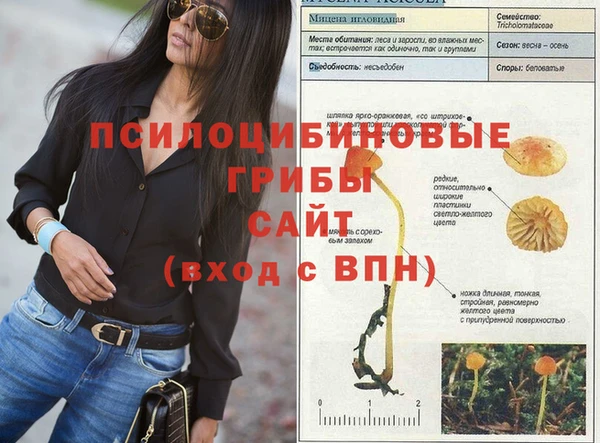стаф Пролетарск