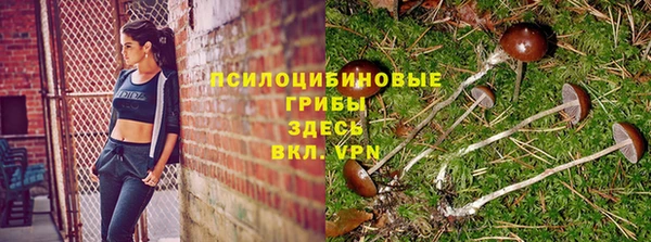 гидра Приозерск