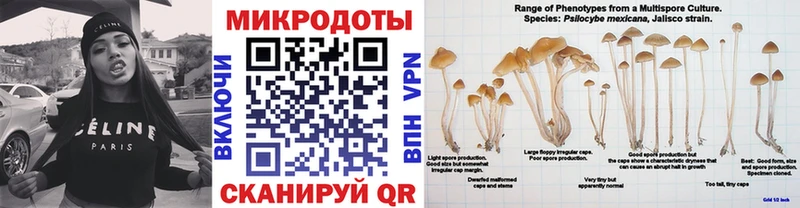 Купить  Южноуральск  Псилоцибиновые грибы мухоморы 